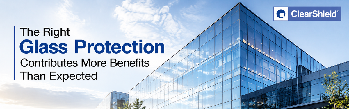 Glass Restoration vs Protection: When Do You Need Each?